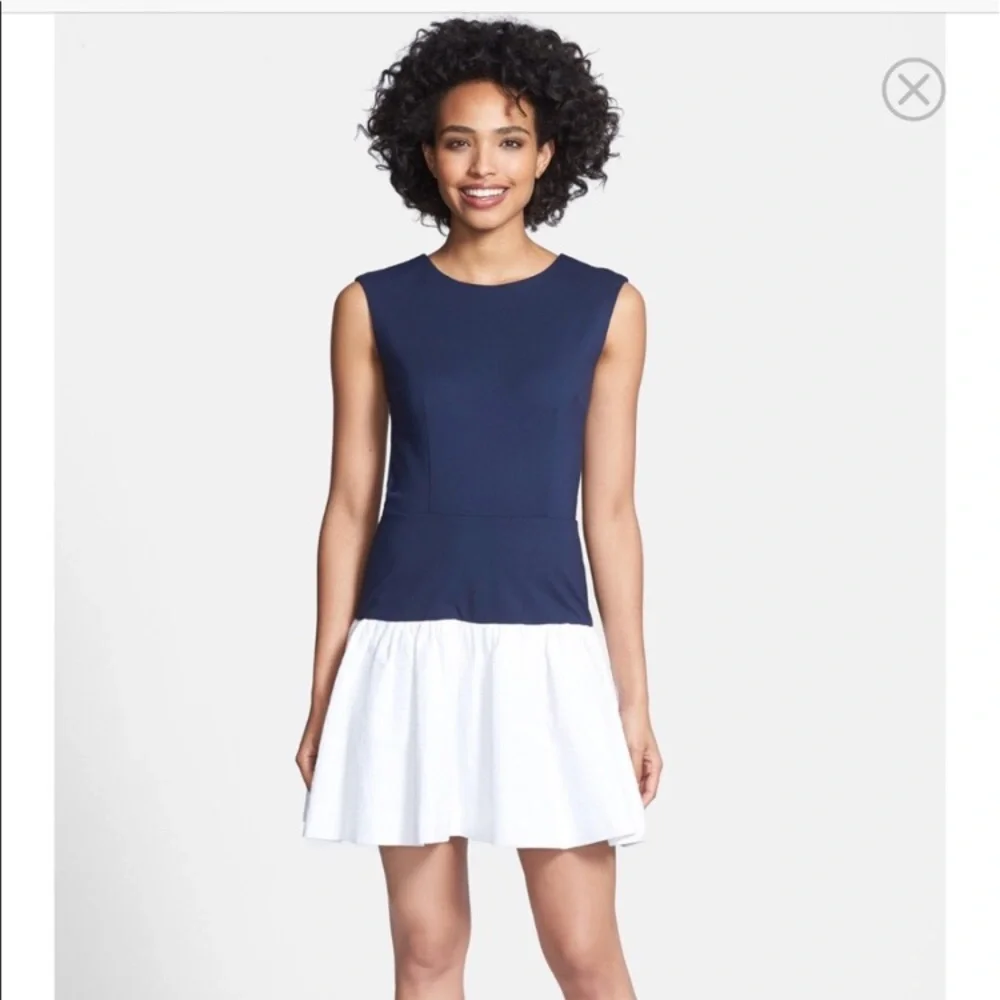 ERIN by Erin Fetherston Navy and White Sleeveless Fit-and-Flare Dress - Picture 3 of 4